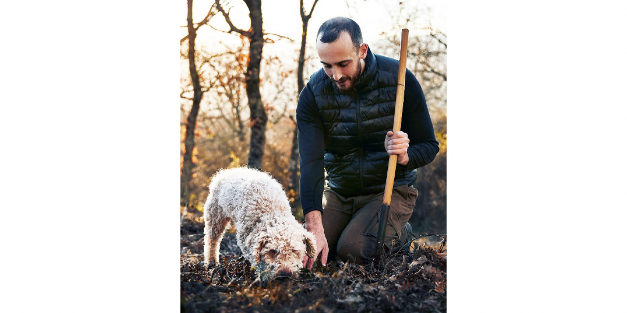 Three Major Donor Searching Tips - AKA Truffle Hunting  