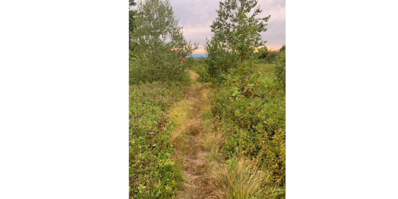 [Photo credit: my iPhone at the top of Harvey Mountain near the border of MA in Austerlitz, NY]