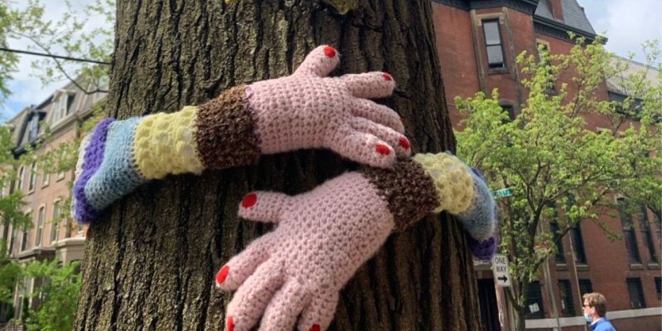 Hands hugging a tree