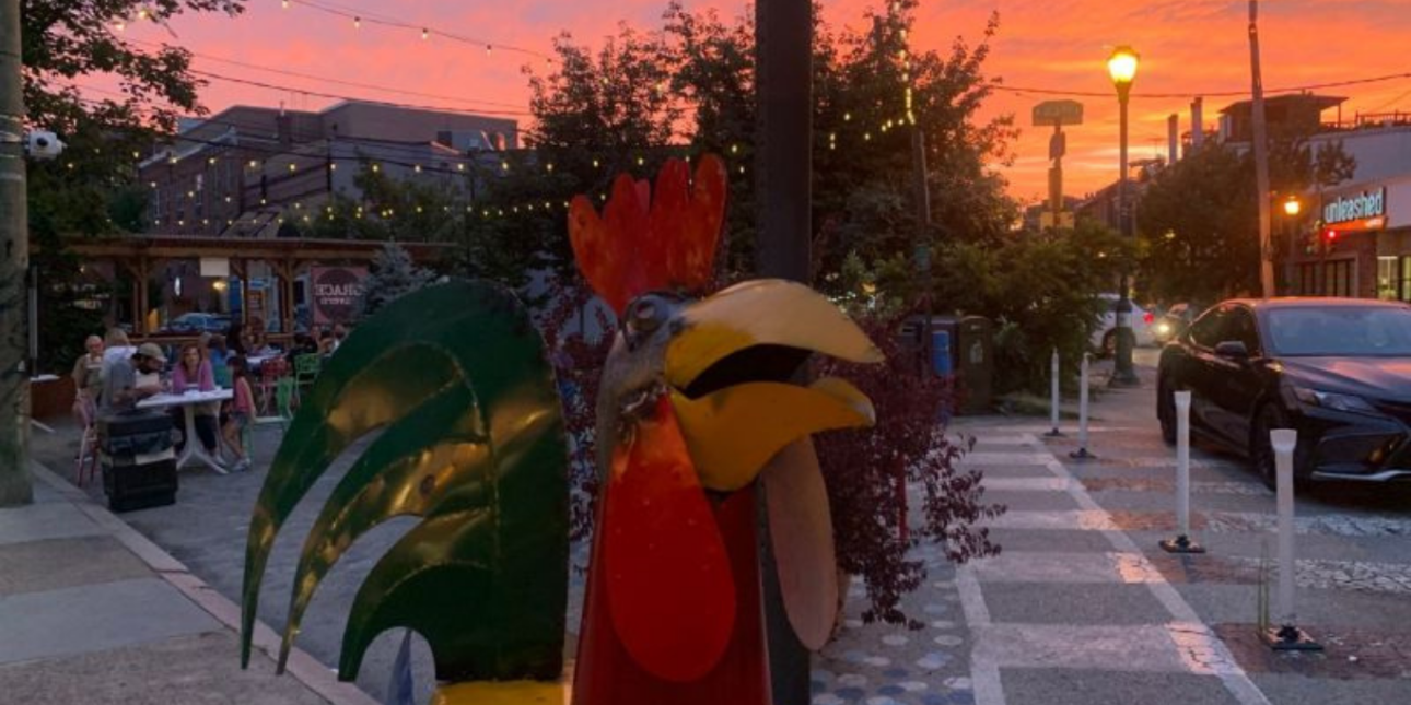 Rooster