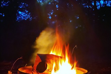Campfire Storytelling vs. Online Engagement