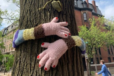 Hands hugging a tree