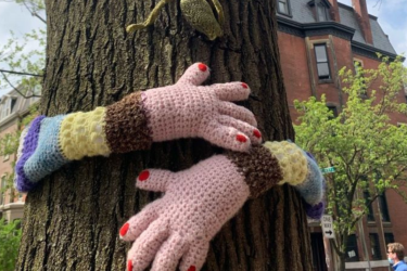 Hands Hugging Tree